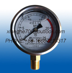 China pressure gauge supplier