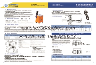 China hydraulic accumulator gas valve supplier