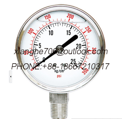 China pressure gauge supplier