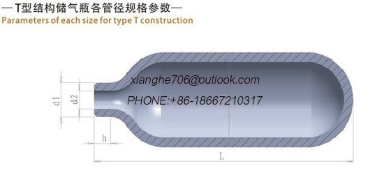 T type gas storage tank gas sampling cylinder for sampling system used for oil pipe industry